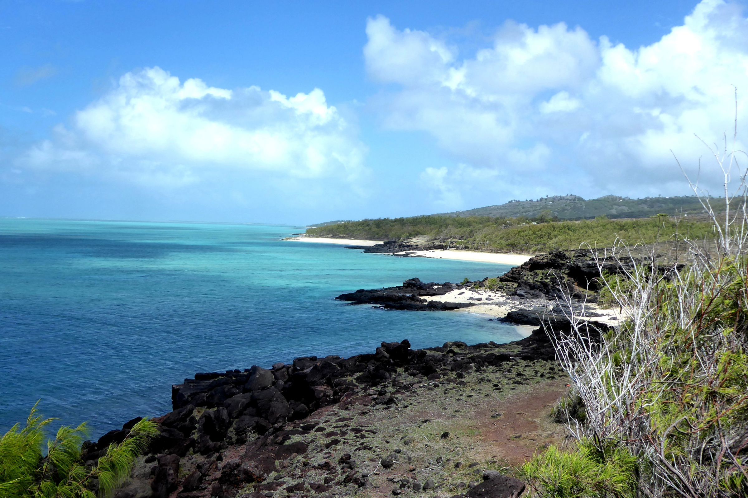 rodrigues (4).webp
